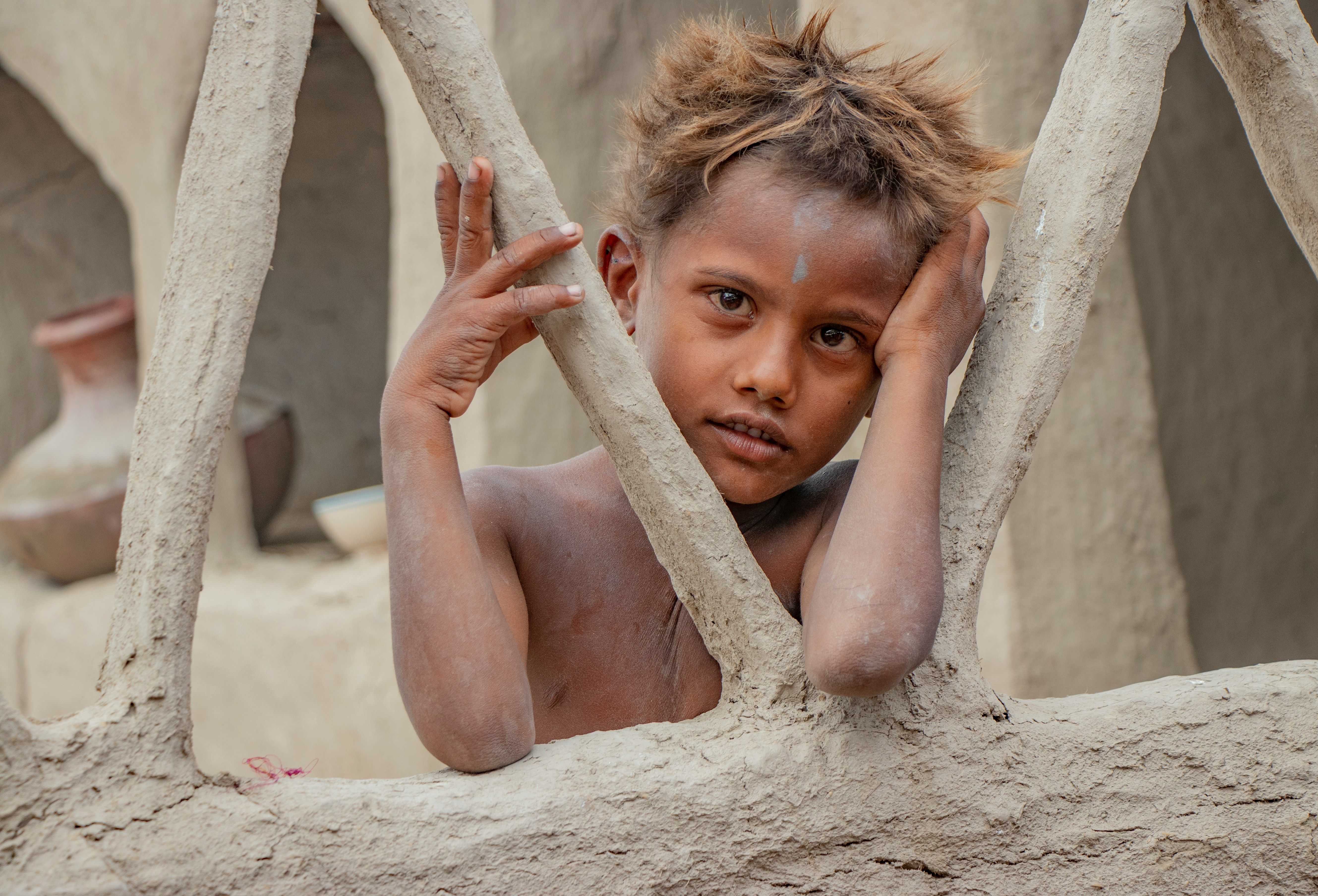 封面 《月影秘闻》